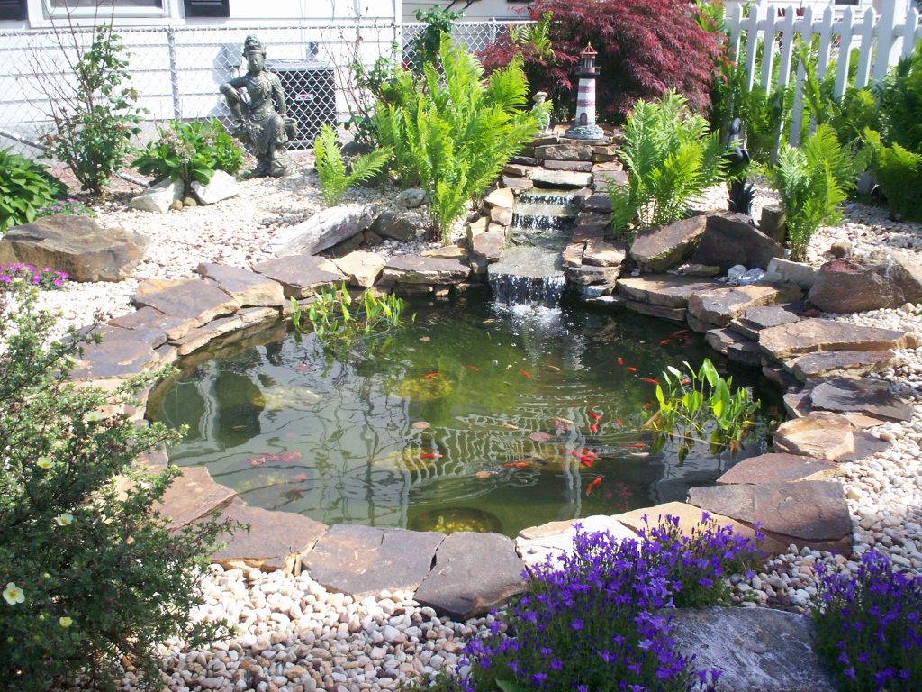water gardens olympus digital camera pond after water garden 2 ... DACIVRH