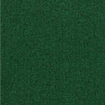 green carpet 6-ft w x cut-to-length deep green plush interior/exterior NGRKNEV