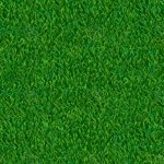 PE Indoor Grass Carpet, Rs 100 /square feet, Anmol Interior | ID