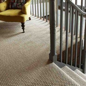 Natural seagrass carpets