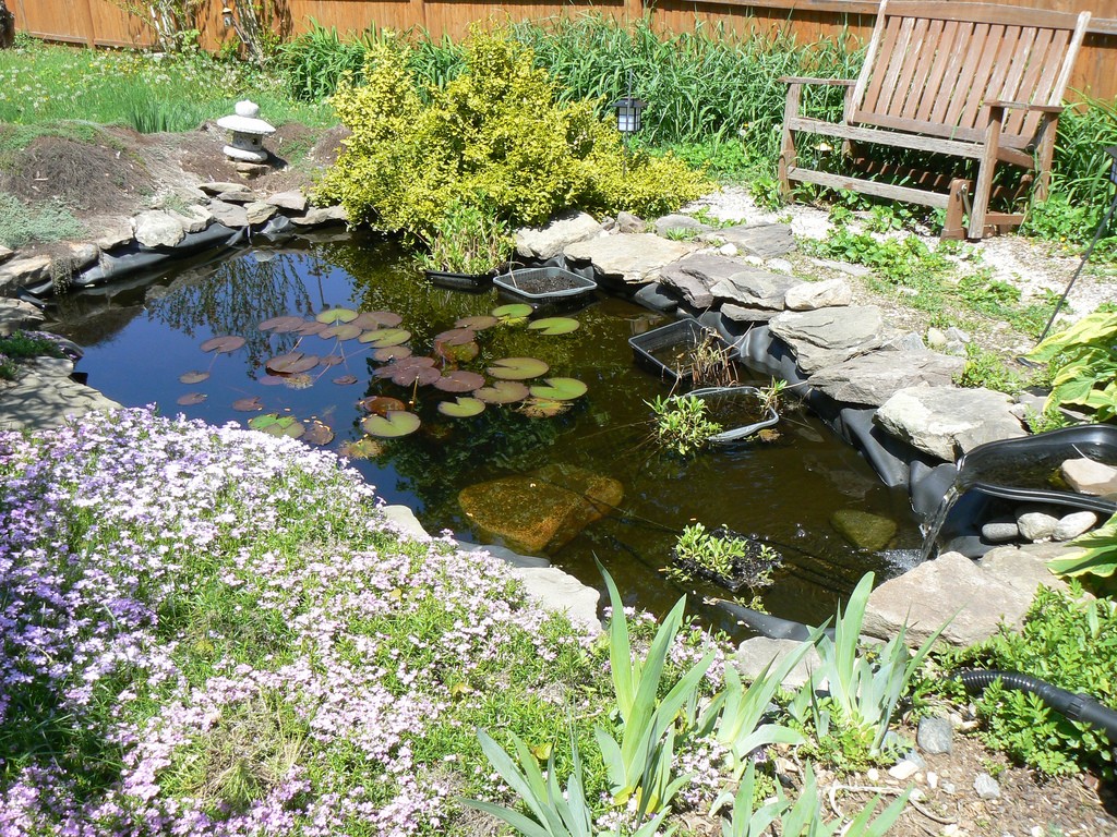 diy water gardens: designing a backyard water garden AYOYLFU