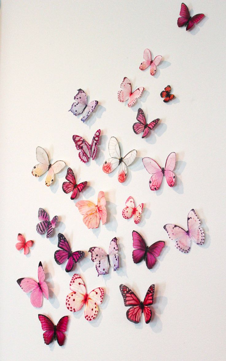 full size of decor:25 butterfly wall decor patterns butterfly decorations  organza butterfly VCRRDKF