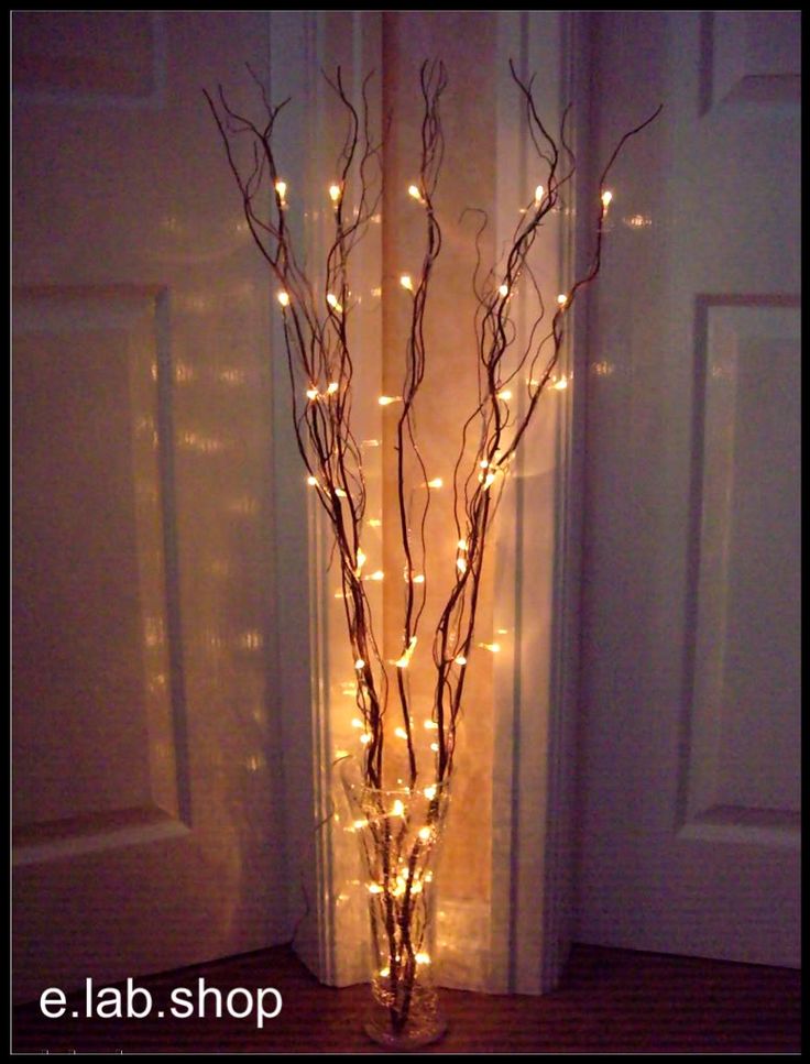 twig lights in tall vases filled with orchids and peacock feathers for IWBVBEU