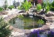 water gardens olympus digital camera pond after water garden 2 ... DACIVRH