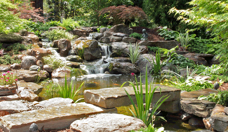 water gardens slideshow image 1 ... HTEWBWV
