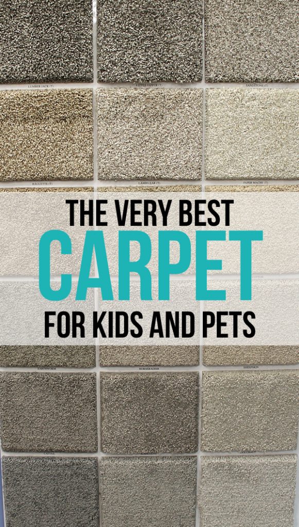 Get to know your best carpet goodworksfurniture