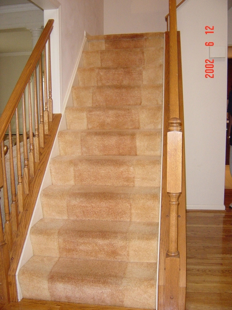 carpet runner on carpet carpet runner over carpeted stairs acanthus and acorn stair RMWSFQR