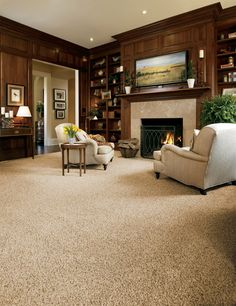 carpeting ideas stainmaster carpet idea gallery | carpets, rugs FNJLMQS