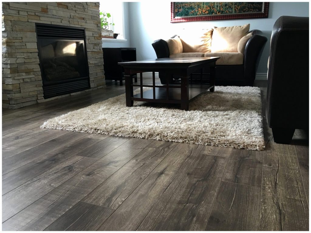 Get to know your best carpet goodworksfurniture