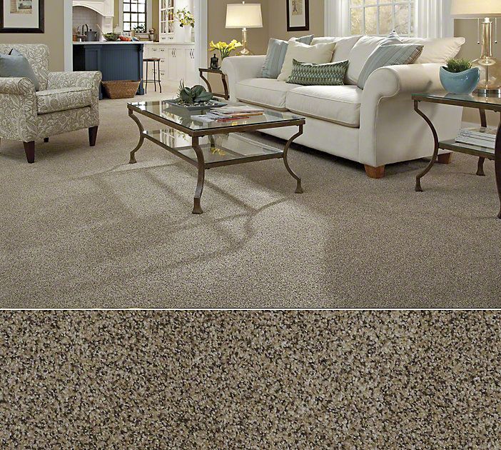 Shaw carpet shaw carpeting in stainmaster nylon. textured construction in style  palladio, color bordeaux. BNNOBQJ