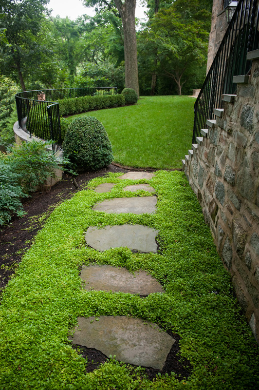 Stepping Stones ground cover and irregular stepping stones - d u0026 a dunlevy landscapers, inc. RDZPRBI
