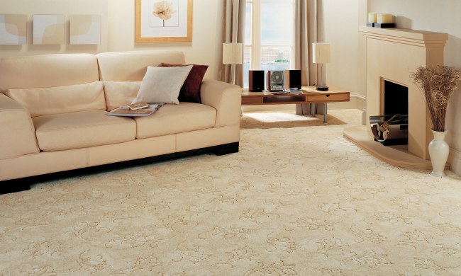 Beautiful carpet for room