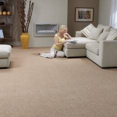carpet for room super top twist® carpet CWRMAMV