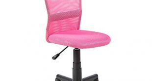 Amazon.com: eurosports Kids Desk Chair for Girls,Ergonomic Swivel