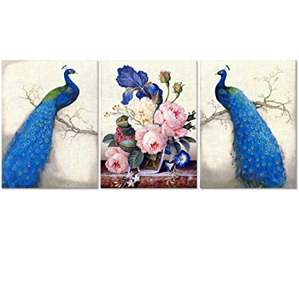Amazon.com: Peacock Canvas Art Prints, Peacock Canvas Wall Art Home