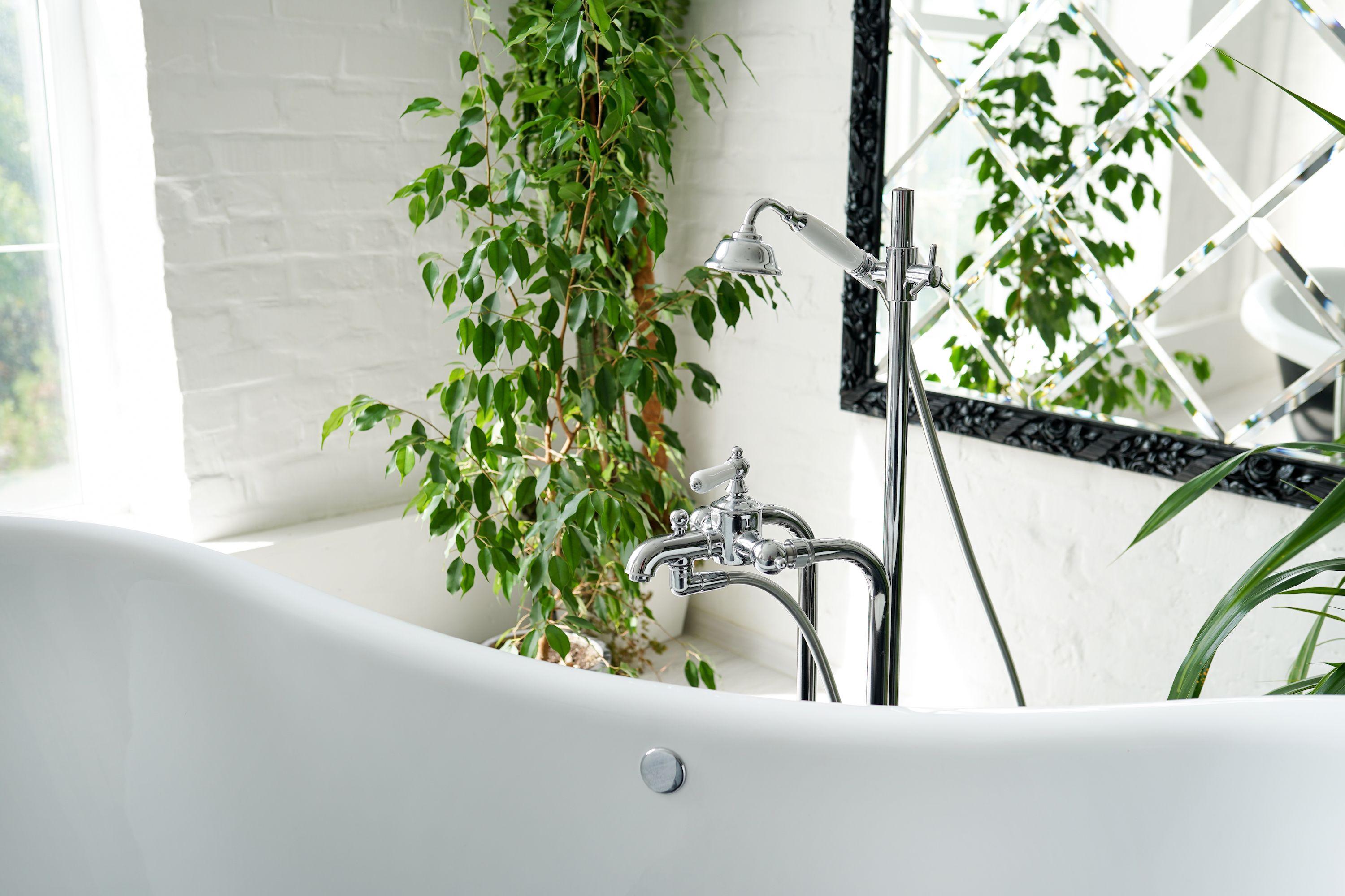 Add ‍indoor⁣ plants to‍ breathe life into your⁣ wooden bathroom